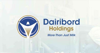 Dairibord Holdings Annual Report 2024